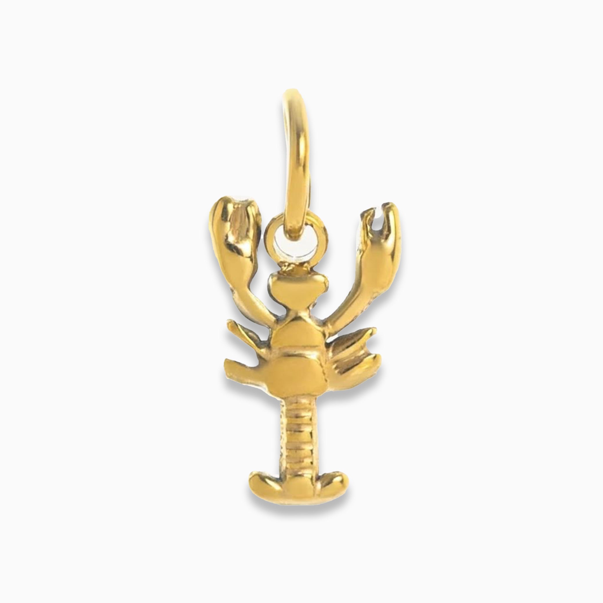 Gold Scorpion Charm